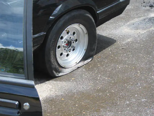 stangnetmeet012.webp