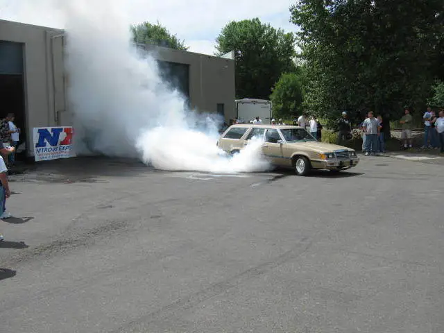 stangnetmeet015.webp