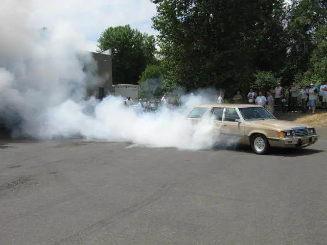 stangnetmeet016.webp
