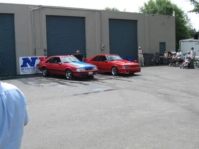stangnetmeet019.webp