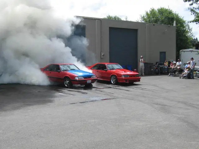 stangnetmeet022.webp