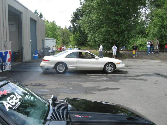 stangnetmeet023.webp