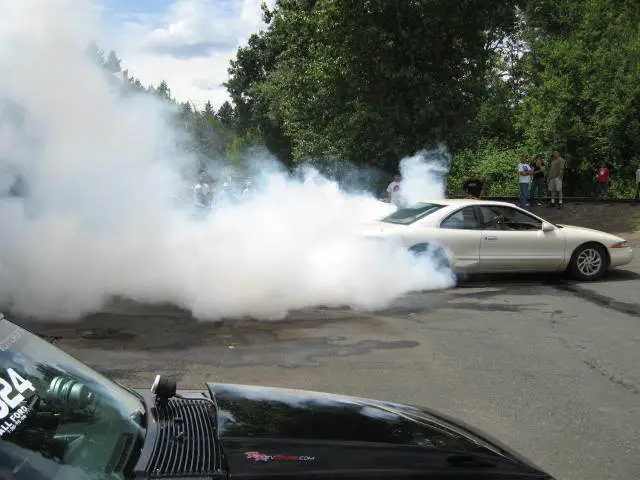 stangnetmeet024.webp