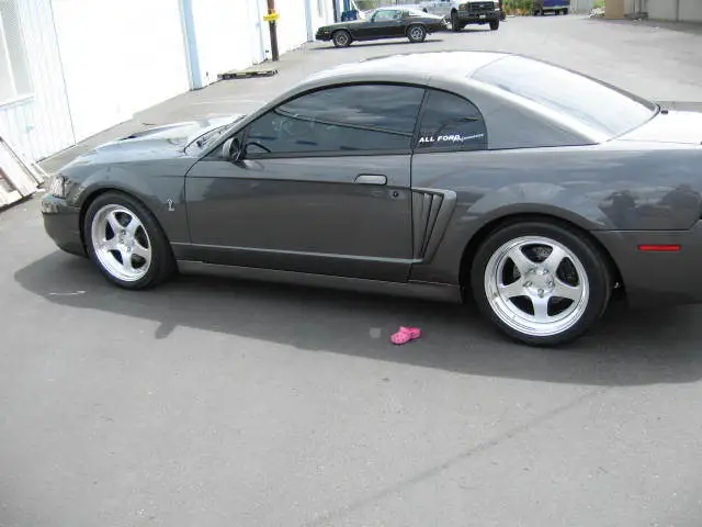stangnetmeet026.webp