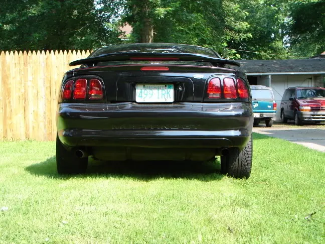 Stangnew003.webp