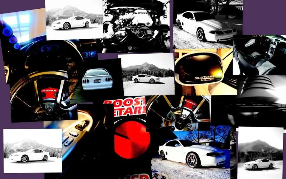 stangpics.webp