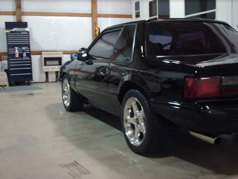 stangpics003.webp