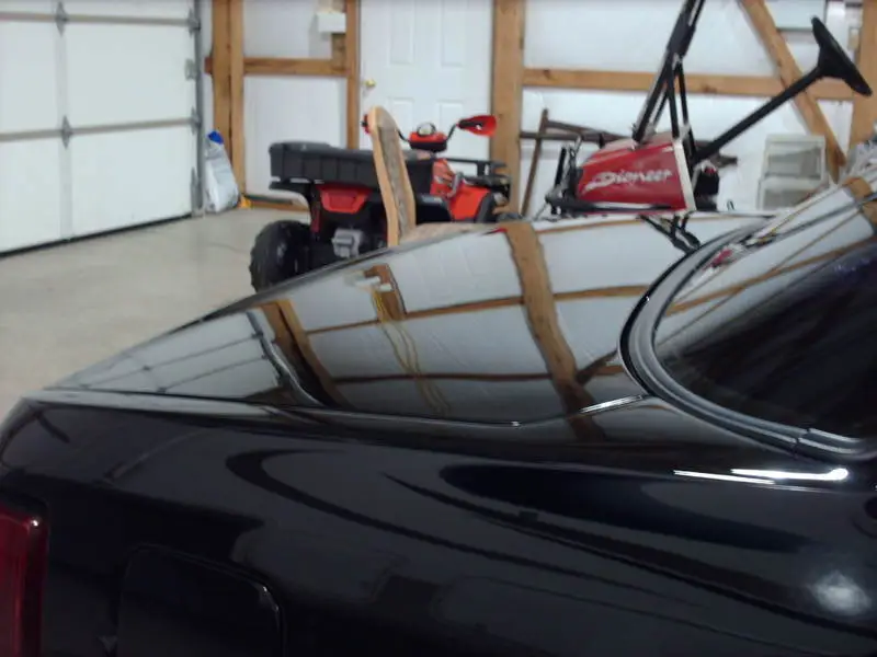 stangpics008.webp
