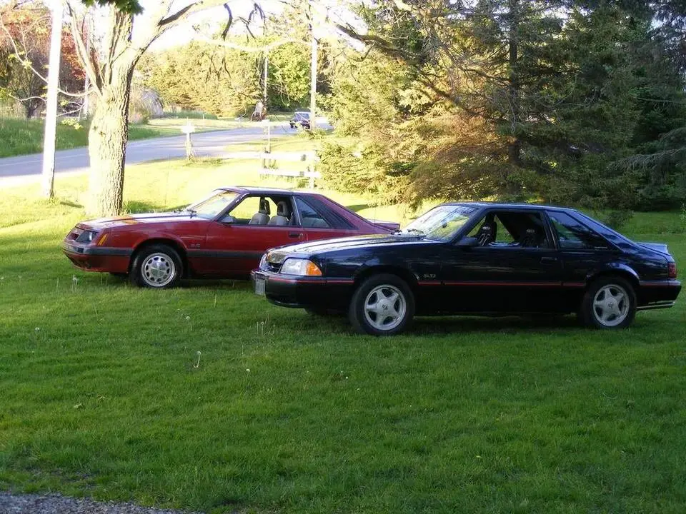 stangs.webp