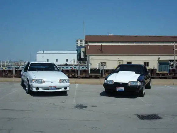 stangs.webp