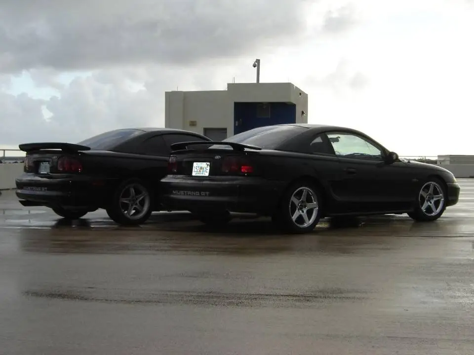 stangs024.webp