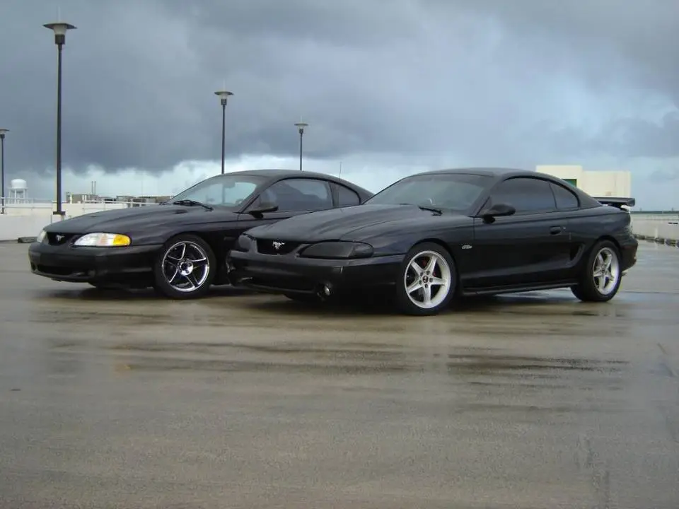 stangs026.webp