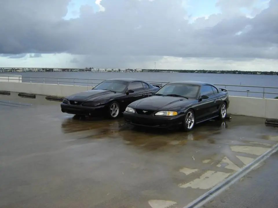 stangs033.webp