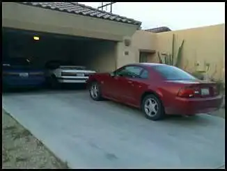 Stangs2.webp