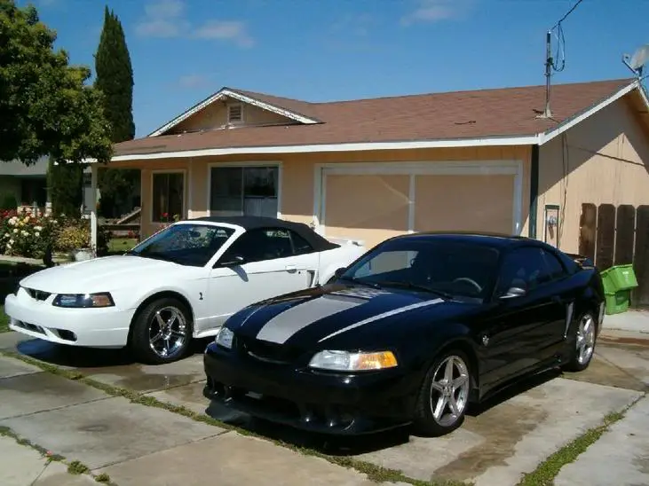 stangs3.webp