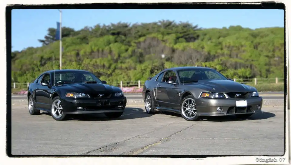 stangsbackgroundeditframedresized.webp