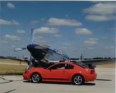 StangStang1.webp