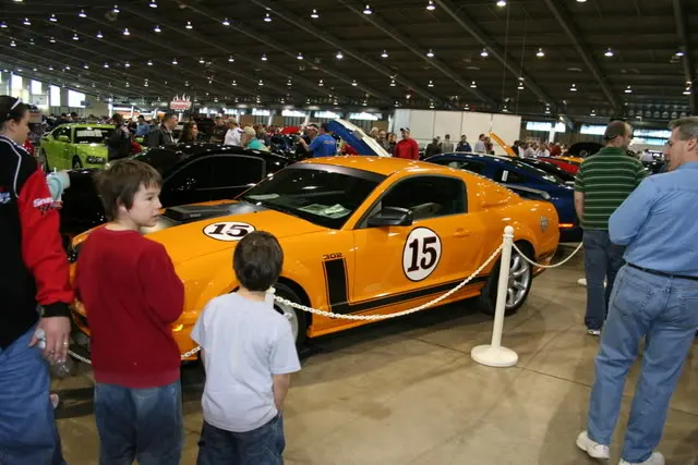 starbird005.webp
