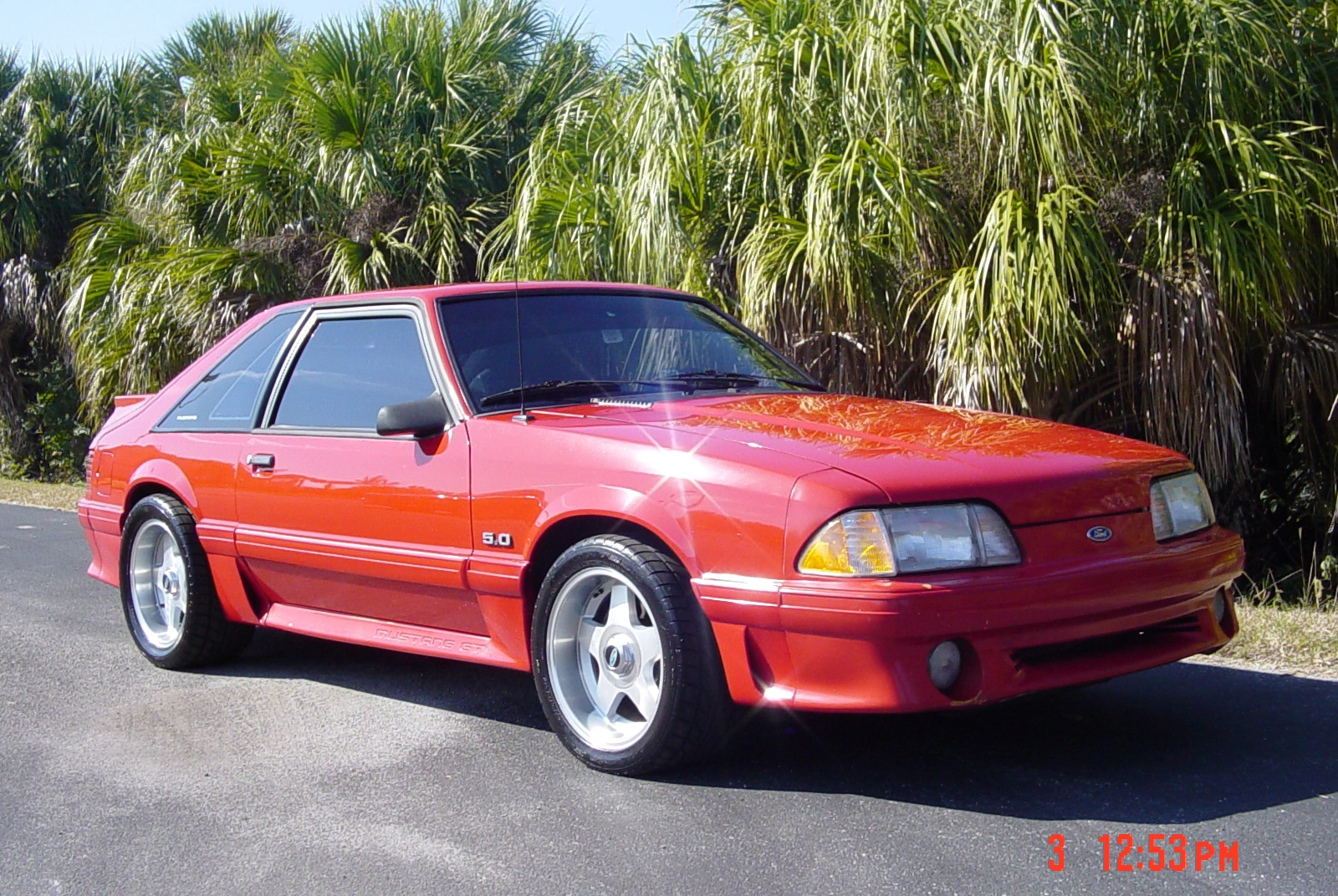 Steeda centercaps 004.webp