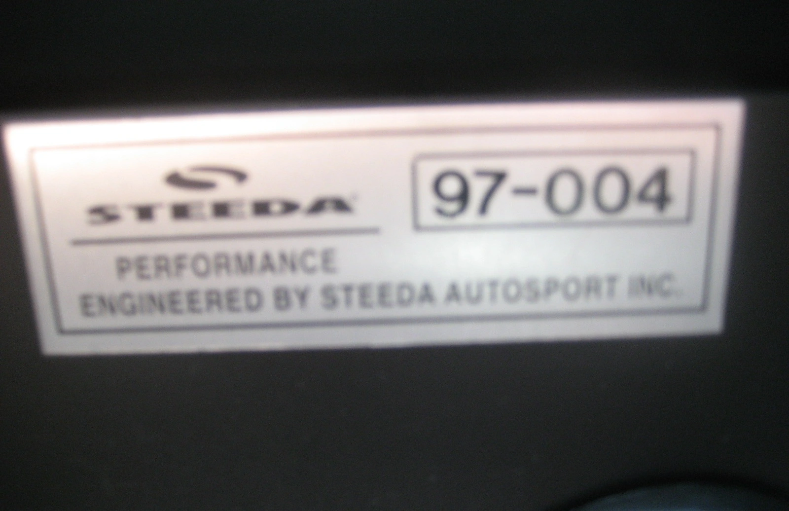 steeda mustang 001.webp