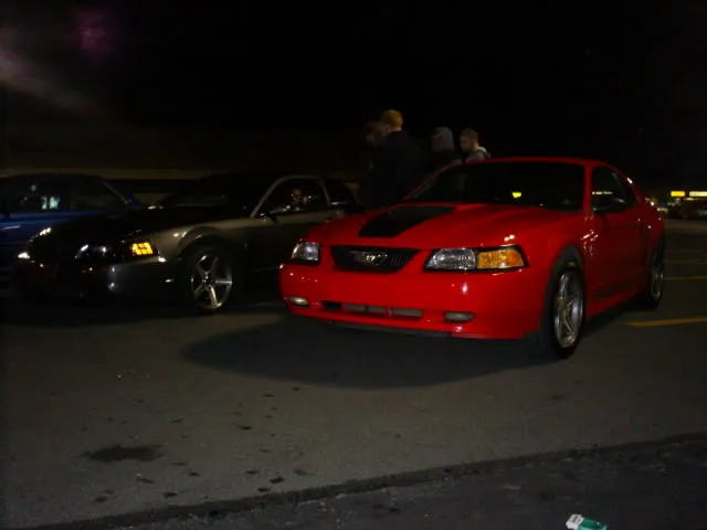 Sterling-My_Stangs-2.webp