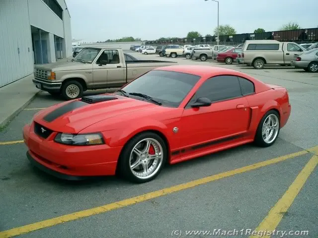 stevemach1work.webp