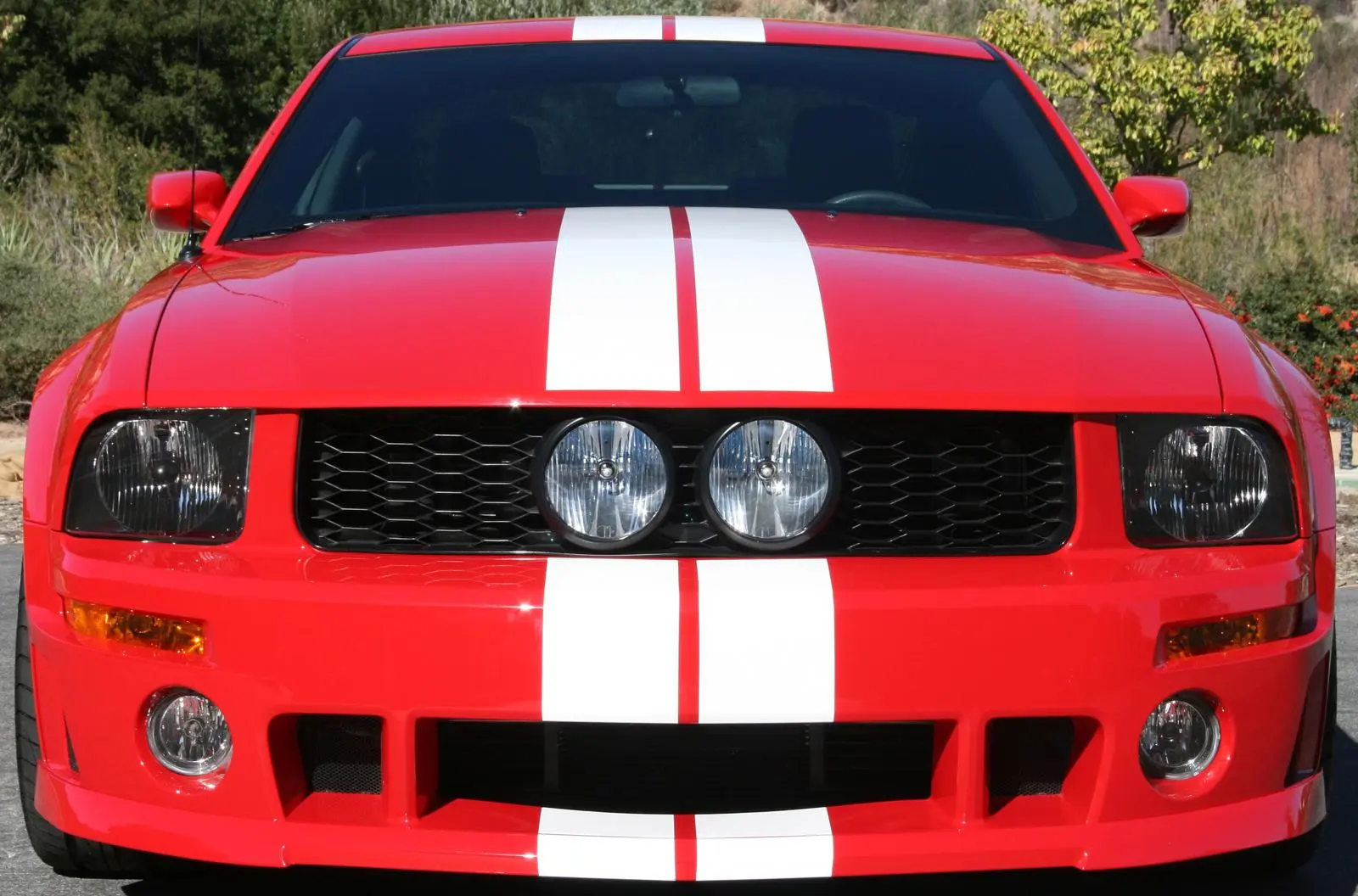 stg3 roush (5).webp