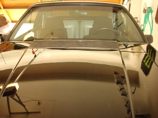 StockCowl2.webp