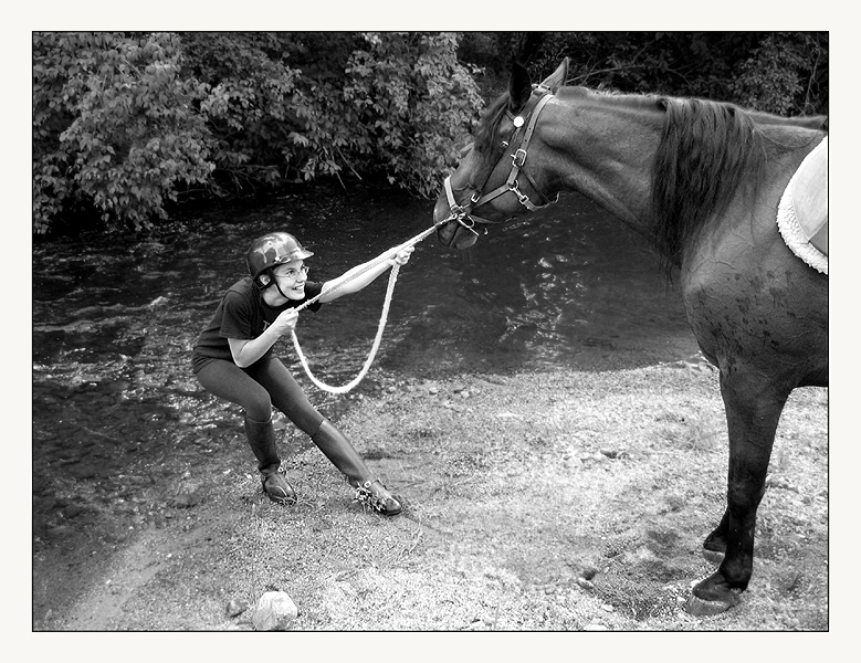 Stubborn_Horse_ID_by_Goodbye_kitty975.webp