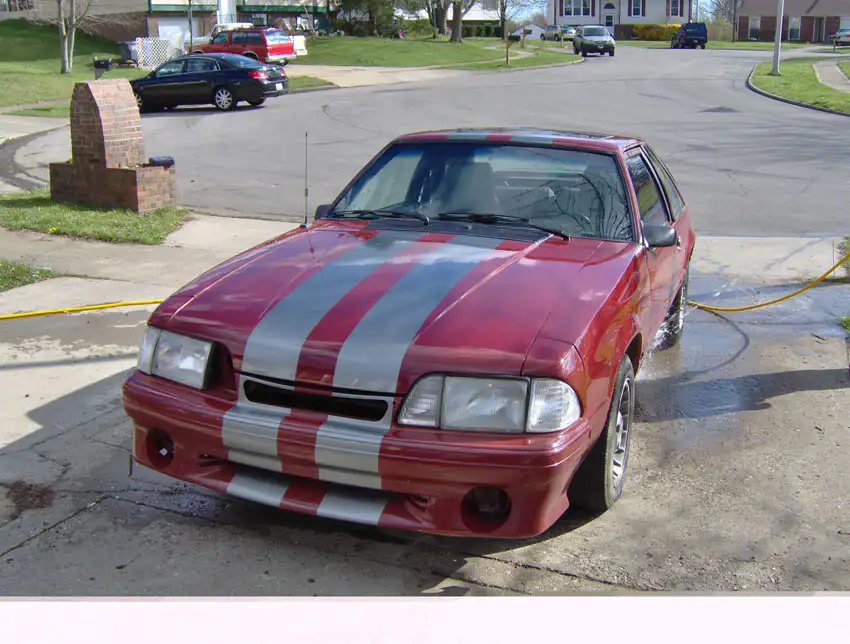Stupid017.webp
