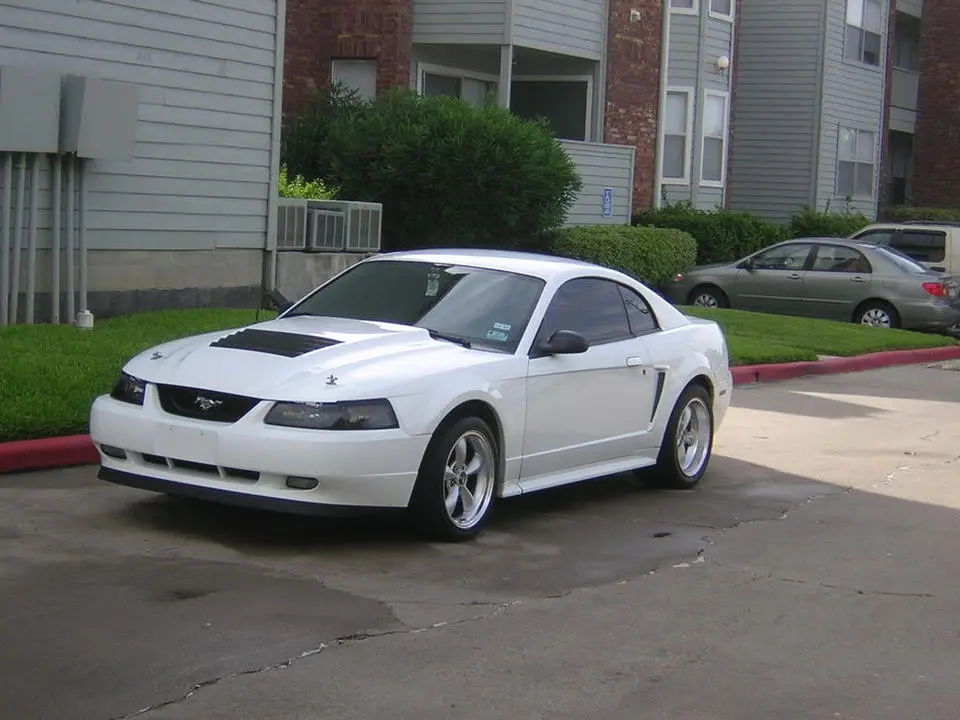 Summer2007046.webp