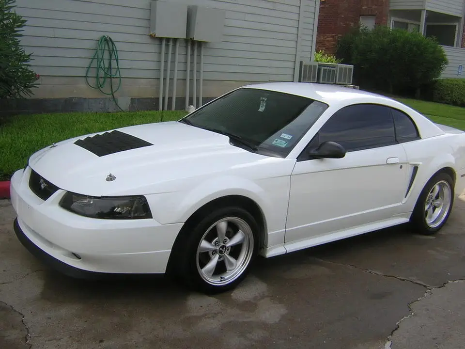 Summer2007047.webp