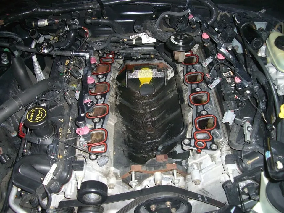 summer2009093.webp