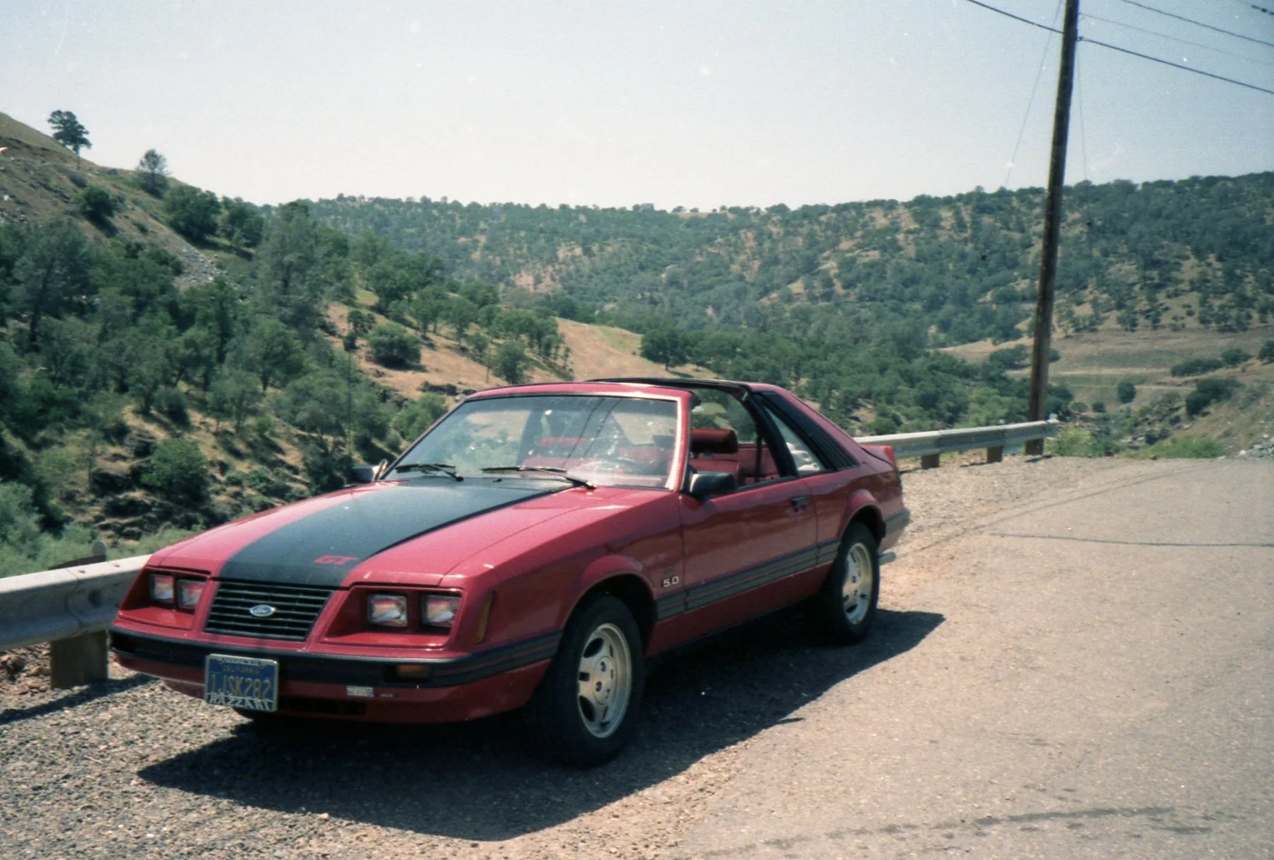 Summer84_022.webp