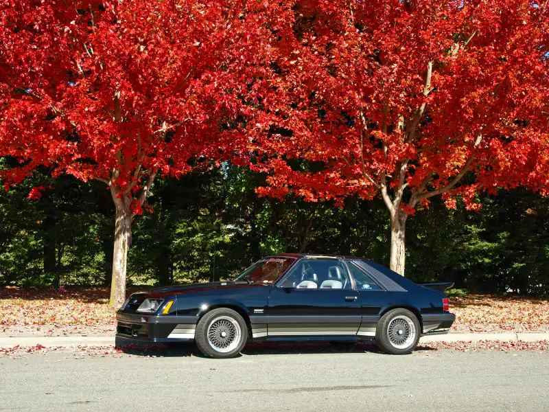 Sundaydrive063.webp