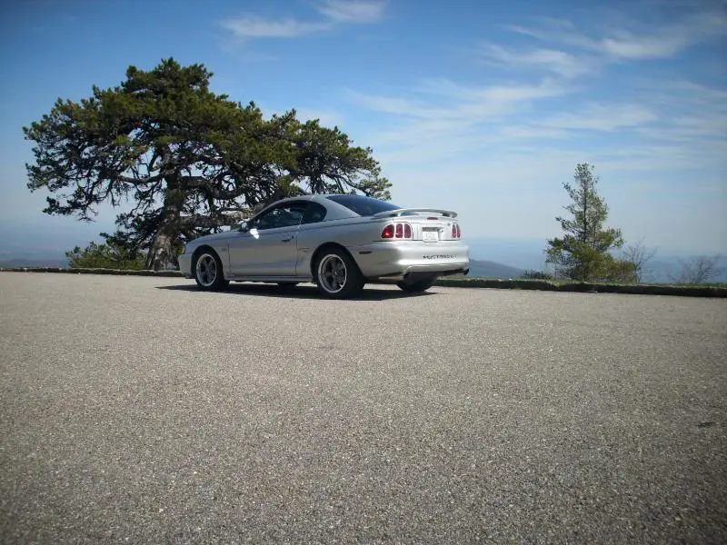 SundayDriveWithStang081.webp