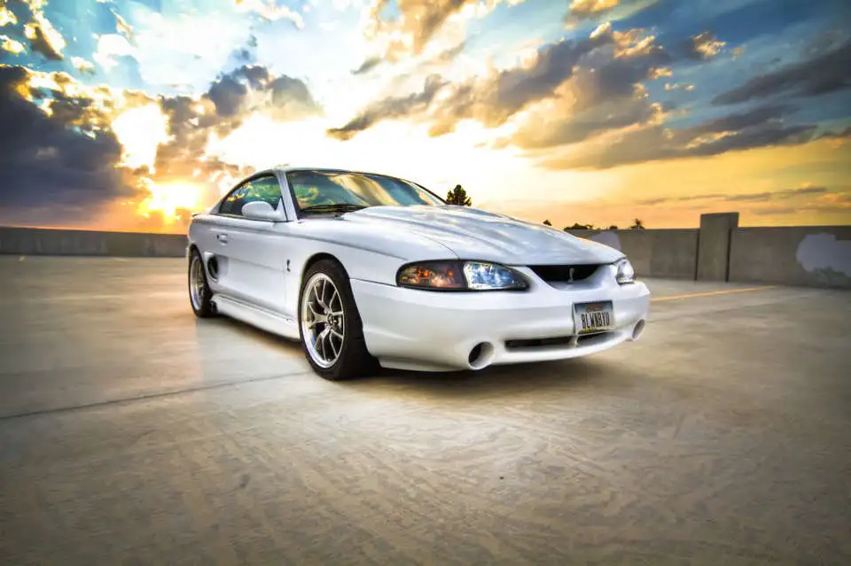sunsetcobra.webp