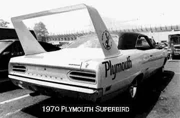 Superbird.webp
