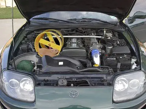 supra.webp