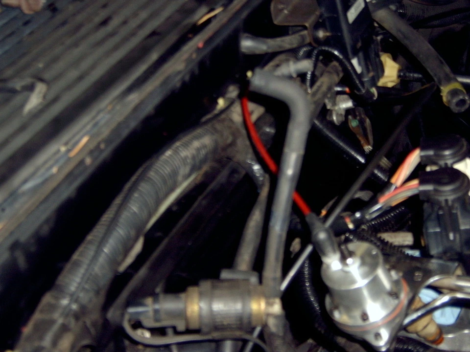 SV400041.webp