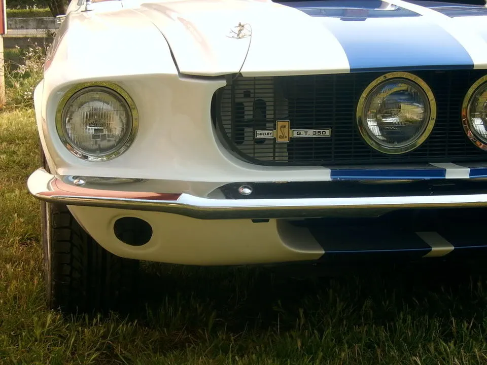 SV400897.webp
