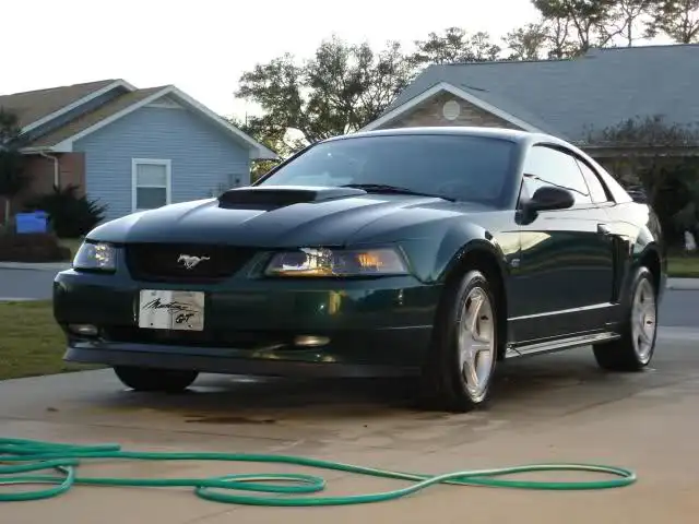 svq645.webp