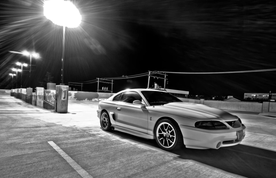 sweetblackandwhite.webp