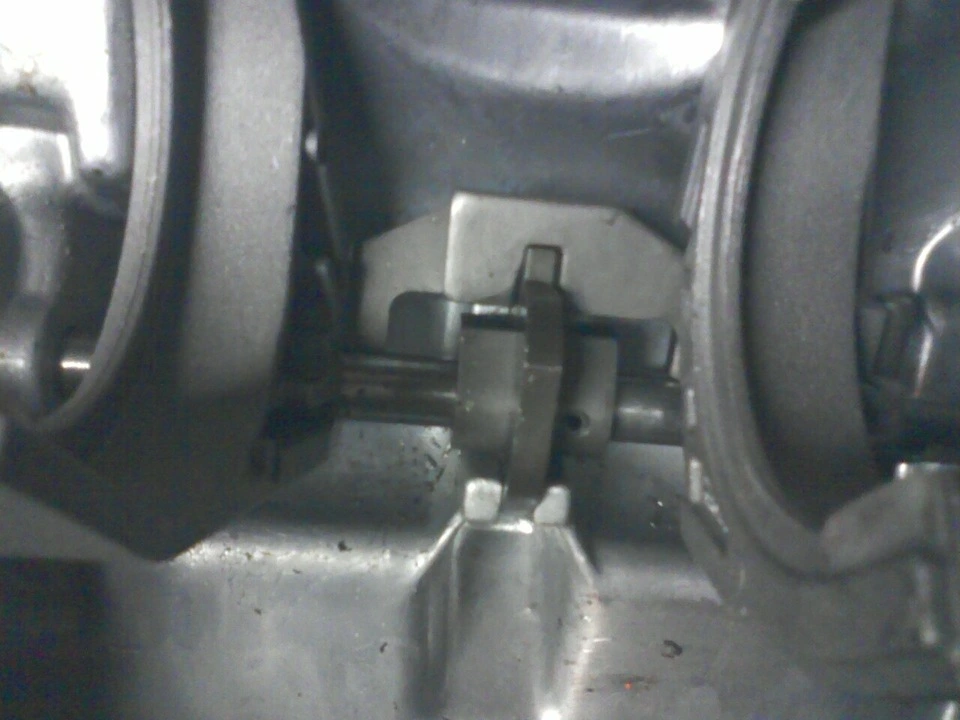t5%20lid.webp