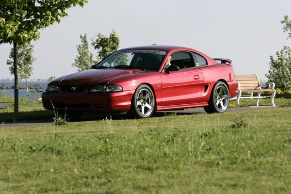 T6C0050.webp