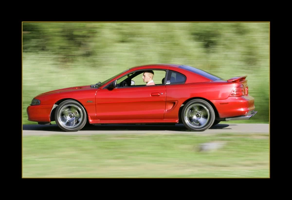 T6C0058.webp