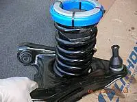 t_DSCN1965.webp