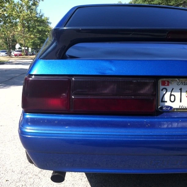 tail.webp