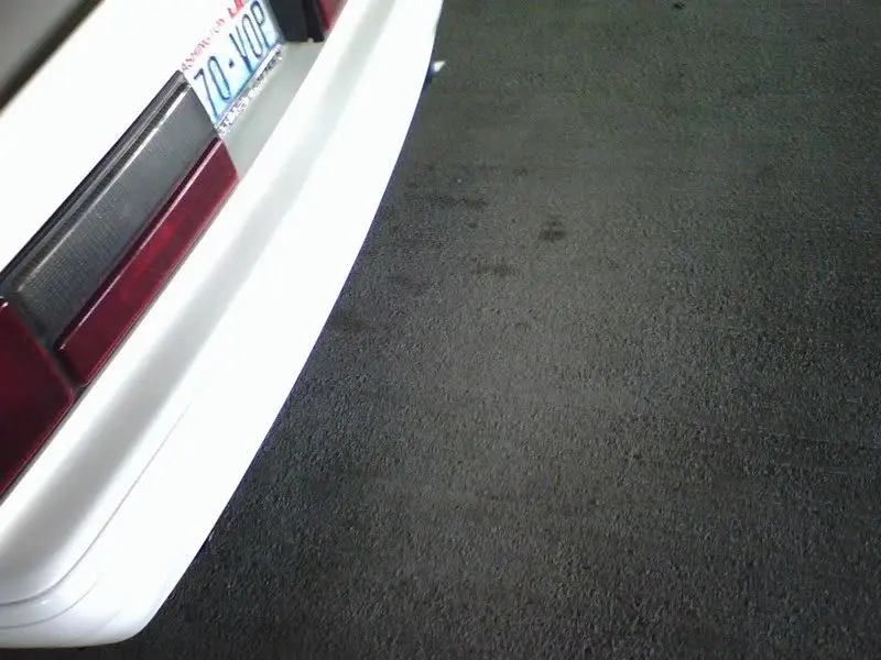 tailpipe.webp