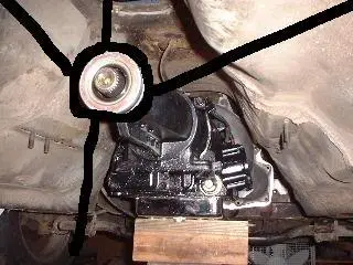 tailshaft.webp